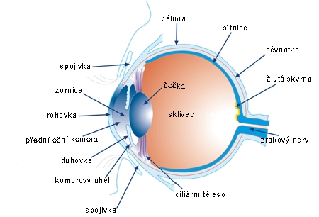 Refrakce - lidské oko